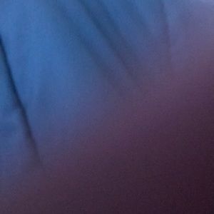 Meet your Posher, Brady